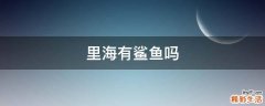 里海有鲨鱼吗