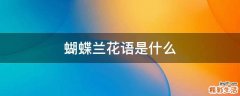 蝴蝶兰花语是什么