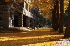 鼻窦炎术后复查什么