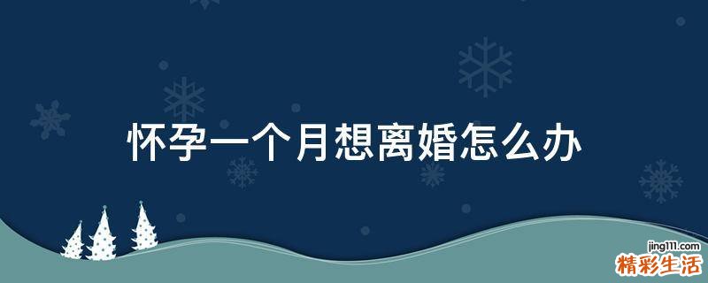 怀孕一个月想离婚怎么办
