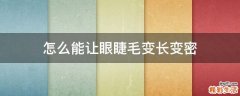 怎么能让眼睫毛变长变密