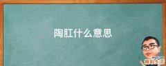 陶肛什么意思