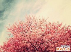 手术后祛疤最佳时间
