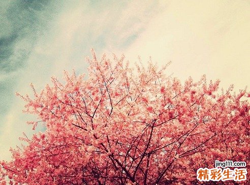 手术后祛疤最佳时间