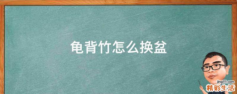 龟背竹怎么换盆