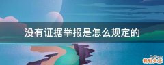 没有证据举报是怎么规定的