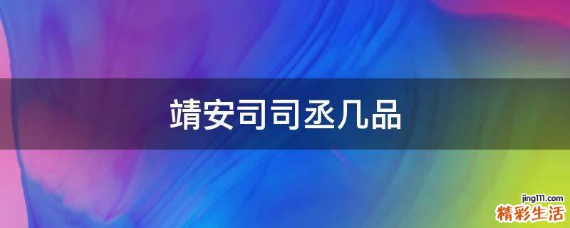靖安司司丞几品