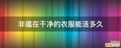 非瘟在干净的衣服能活多久