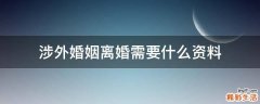 涉外婚姻离婚需要什么资料