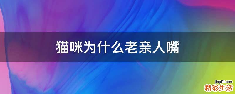 猫咪为什么老亲人嘴