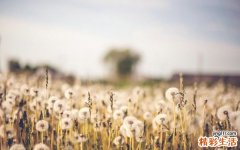 【怎样爱抚唤醒他的爱】如何爱抚唤醒他的爱