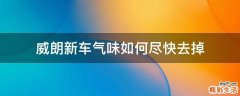 威朗新车气味如何尽快去掉