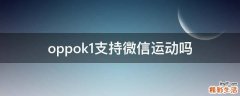 oppok1支持微信運動嗎