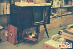 偏头痛可以导致残疾