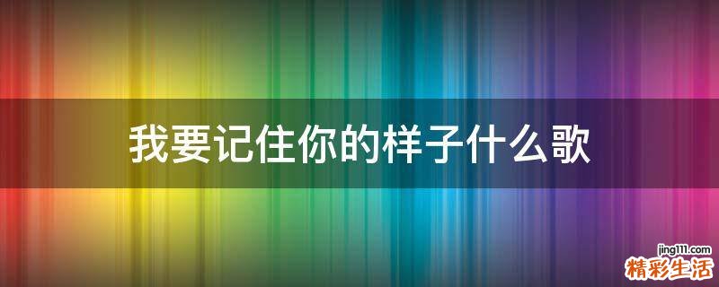 我要记住你的样子什么歌