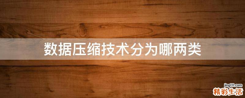 数据压缩技术分为哪两类