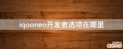 iqooneo开发者选项在哪里