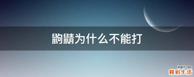 鼩鼱为什么不能打