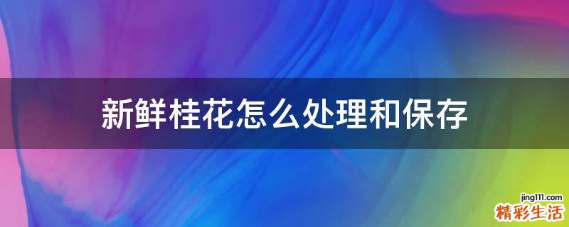 新鲜桂花怎么处理和保存