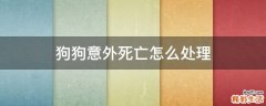 狗狗意外死亡怎么處理