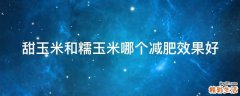 甜玉米和糯玉米哪个减肥效果好