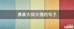 佛家大彻大悟的句子