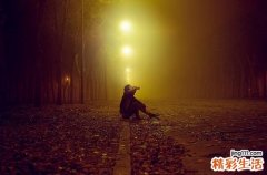 延胡索鉴别及生长特性