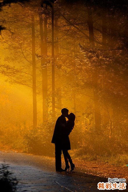 急性肾盂肾炎的原因