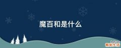 魔百和是什么