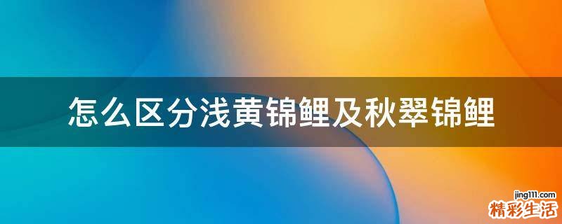 怎么区分浅黄锦鲤及秋翠锦鲤