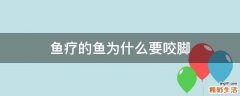鱼疗的鱼为什么要咬脚