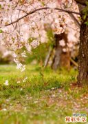 缓解企业家压力应从“心”开始