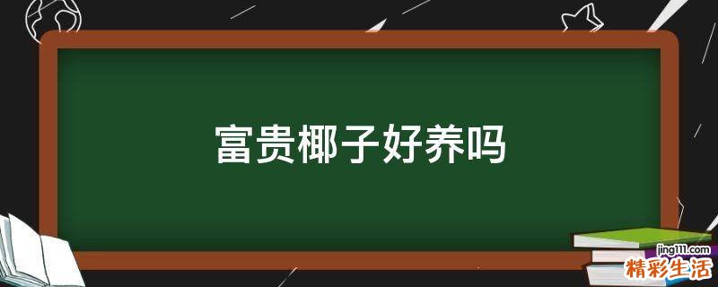 富贵椰子好养吗