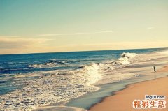 2 “水果皇后”草莓的营养价值