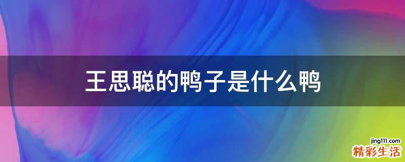 王思聪的鸭子是什么鸭