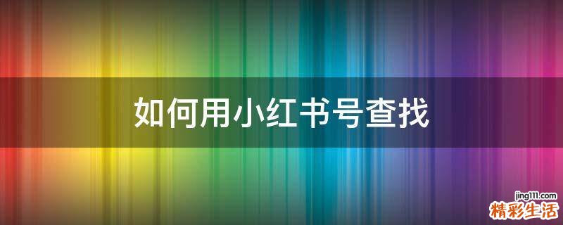 如何用小红书号查找