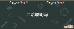 二哈聪明吗