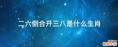 二六倒合开三八是什么生肖