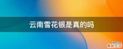 云南雪花银是真的吗