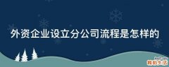 外資企業(yè)設(shè)立分公司流程是怎樣的