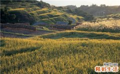 2 蝦皮營養(yǎng)價(jià)值高多吃蝦皮能補(bǔ)鈣