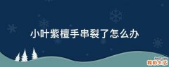 小叶紫檀手串裂了怎么办