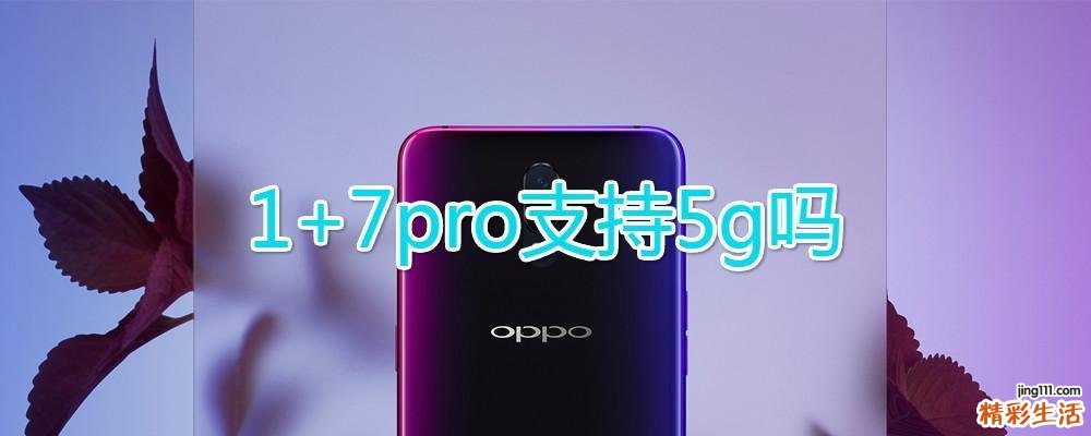 1+7pro支持5g吗