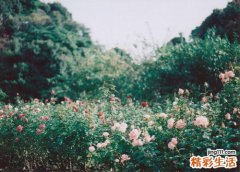 老人无力是什么原因