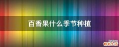 百香果什么季节种植