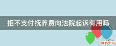 拒不支付抚养费向法院起诉有用吗