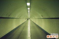 虹膜诊断学：让眼睛说话