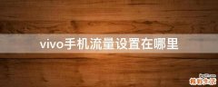 vivo手機流量設(shè)置在哪里
