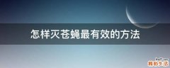 怎样灭苍蝇最有效的方法