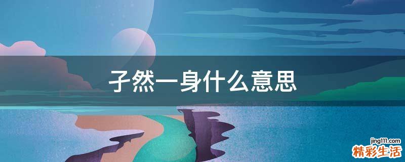 孑然一身什么意思